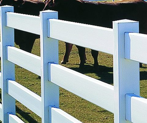 Bufftech Fence A white three-rail vinyl ranch fence with horses standing behind it