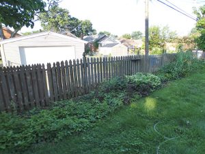 Backyard before 6-foot white vinyl privacy fence installation in St. Louis, MO (view 1 of 3)