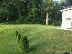 Criscione Aluminum Fence Project Wildwood MO Before 1