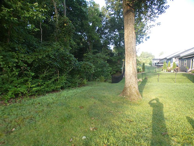 Open sloped wooded backyard in Wildwood, MO before the aluminum fence went in