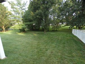 Backyard before 4-foot white vinyl spaced picket fence installation in Imperial, MO (view 1 of 3)